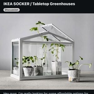 IKEA socker greenhouse